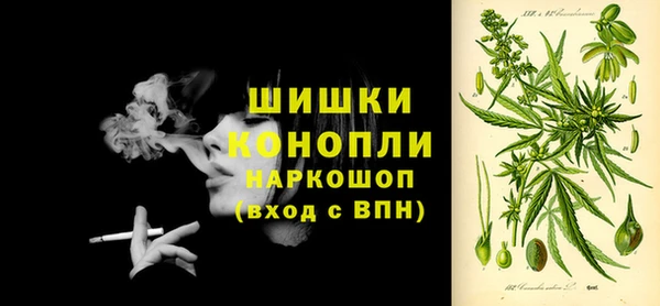 мдпв Богородицк