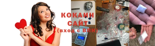 винт Богданович