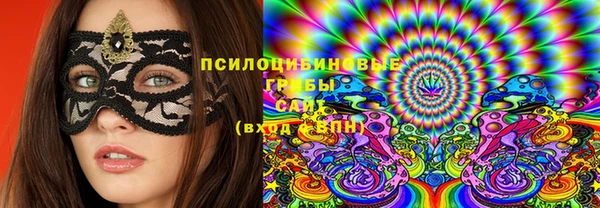 винт Богданович