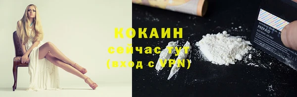 мдпв Богородицк