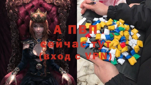 винт Богданович