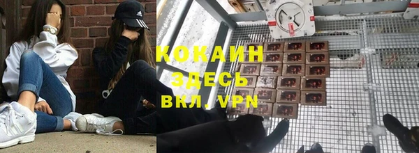 эйфоретик Богородск
