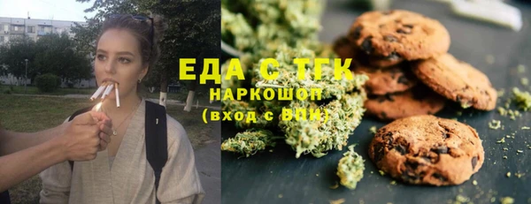 мдпв Богородицк