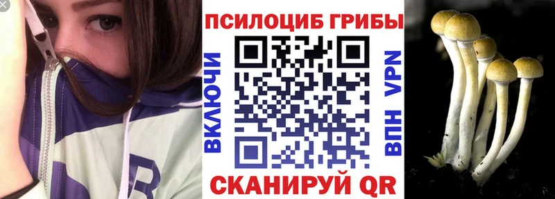 Галлюциногенные грибы ЛСД  закладка  Дубна 